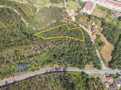 /international/pt/terra-nova-poiares-santo-andre-coimbra-310108483455/