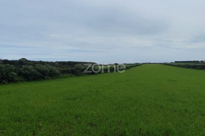 /international/pt/ribeira-grande-azores-310093921390/
