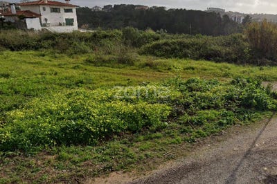 /international/pt/coimbra-lisbon-310107524265/