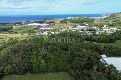 /international/pt/ribeira-grande-azores-310102633485/