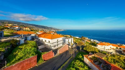/international/pt/gaula-madeira-310107980010/
