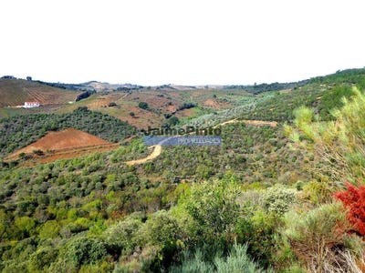 /international/pt/alfandega-da-fe-braganca-310102861248/
