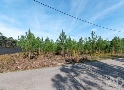 /international/pt/leiria-leiria-310103153611/