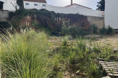 /international/pt/mafra-lisbon-310104791962/