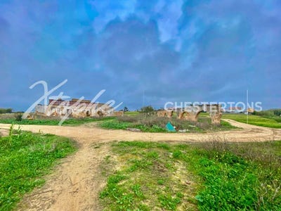 /international/pt/building-plot-in-faro-faro-se-e-sao-pedro-faro-faro-310104831541/