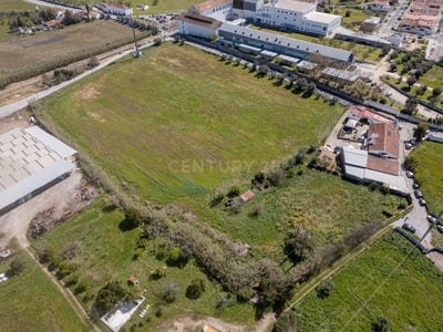 /international/pt/horta-dos-leoes-bacelo-e-senhora-da-saude-evora-district-310096374079/