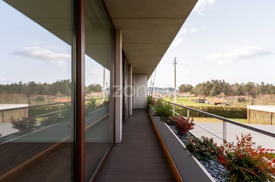 /international/pt/felgueiras-viseu-310106512205/