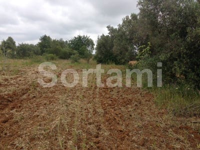 /international/pt/albufeira-faro-310107216576/