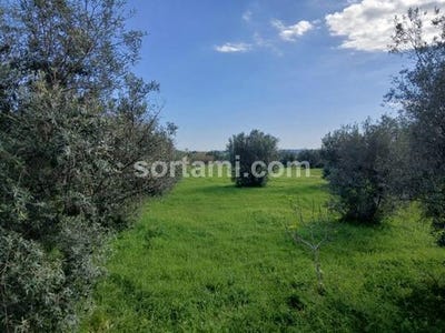 /international/pt/albufeira-faro-310107367279/