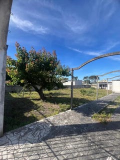 /international/pt/verdizela-corroios-portugal-corroios-setubal-municipality-310099838207/