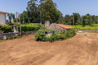 /international/pt/barcelos-braga-310108481349/