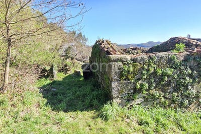 /international/pt/vila-verde-braganca-310106569484/
