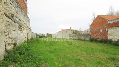 /international/pt/vagos-e-santo-antonio-vagos-aveiro-310097461000/