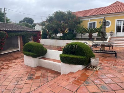 /international/pt/carvalhal-santarem-310101511553/