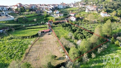 /international/pt/coimbra-lisbon-310106773084/