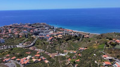 /international/pt/sao-martinho-madeira-310108317052/