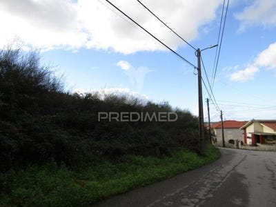 /international/pt/nogueira-da-regedoura-santa-maria-da-feira-aveiro-310106459052/