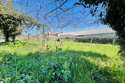 /international/pt/vila-nova-de-famalicao-braga-310098315235/