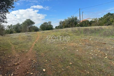 /international/pt/santarem-santarem-310104889581/