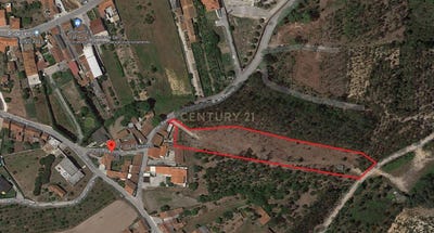 /international/pt/coz-leiria-120091018074/