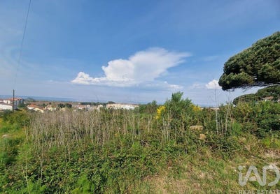 /international/pt/viana-do-castelo-viana-do-castelo-310108555507/