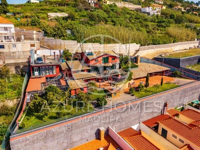 /international/pt/ribeira-brava-madeira-310108400474/