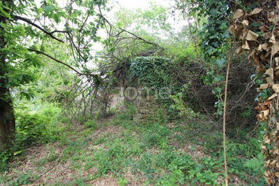 /international/pt/ponte-de-lima-viana-do-castelo-120091814554/