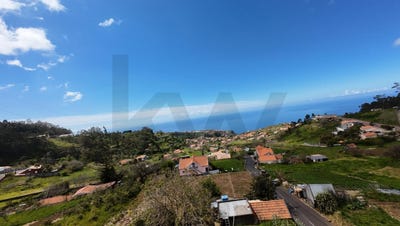 /international/pt/canhas-madeira-310108330236/