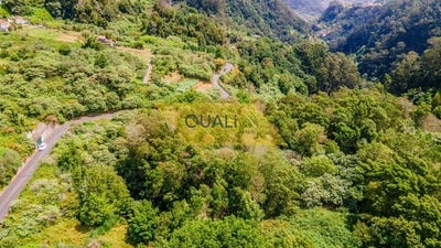 /international/pt/machico-madeira-310109146252/