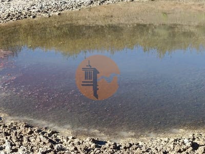 /international/pt/vaqueiros-santarem-310105012831/