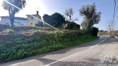 /international/pt/porto-braga-310108181916/