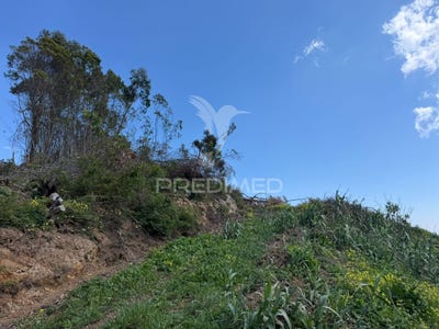/international/pt/ribeira-brava-ribeira-brava-madeira-310106740213/