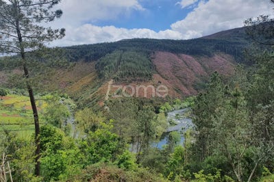 /international/pt/castro-daire-viseu-120080070652/