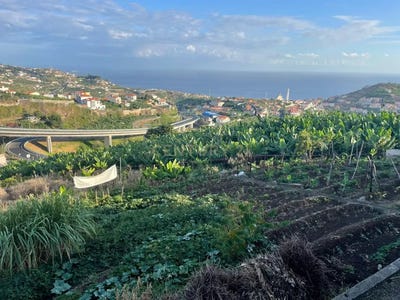 /international/pt/ribeiro-real-ilha-da-madeira-madeira-310105100000/