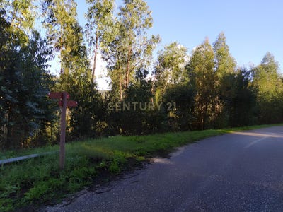 /international/pt/beco-ferreira-do-zezere-portugal-beco-santarem-310100666518/