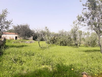 /international/pt/paderne-viana-do-castelo-310100006194/