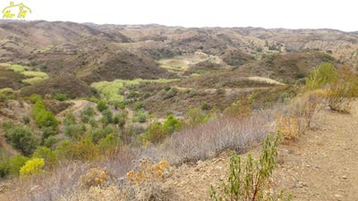 /international/pt/castro-marim-faro-310105820123/