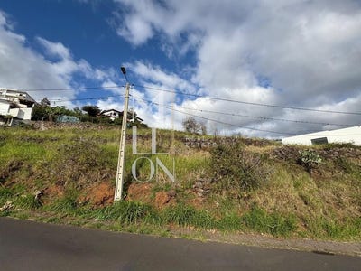 /international/pt/santa-cruz-madeira-310107361217/
