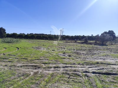 /international/pt/grandola-e-santa-margarida-da-serra-grandola-setubal-municipality-310103711900/