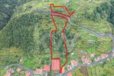 /international/pt/boa-ventura-madeira-310103728292/