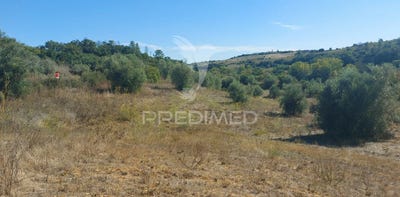 /international/pt/achete-azoia-de-baixo-e-povoa-de-santarem-santarem-santarem-310095136657/