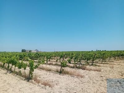 /international/pt/montijo-setubal-municipality-310109050059/