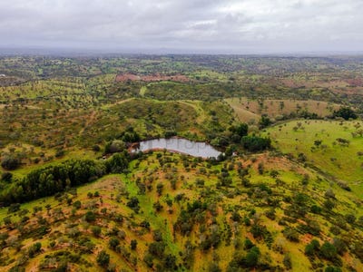 /international/pt/aldeia-nova-de-sao-bento-beja-310105831444/
