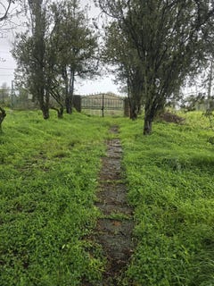 /international/pt/palmeiro-sao-joao-dos-montes-portugal-alhandra-lisbon-310109199358/