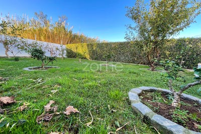 /international/pt/ponta-delgada-azores-310103095207/