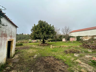 /international/pt/meca-lisbon-310100673142/