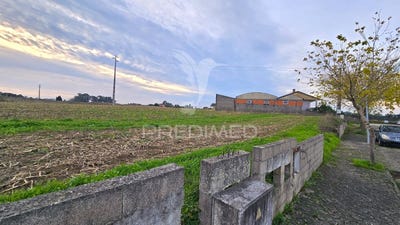 /international/pt/oliveirinha-aveiro-aveiro-310095738474/