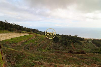 /international/pt/santa-cruz-madeira-310108154772/