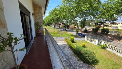 /international/pt/nadadouro-leiria-310108085648/