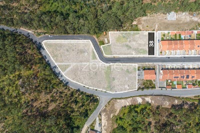 /international/pt/oliveira-de-azemeis-aveiro-310101881454/